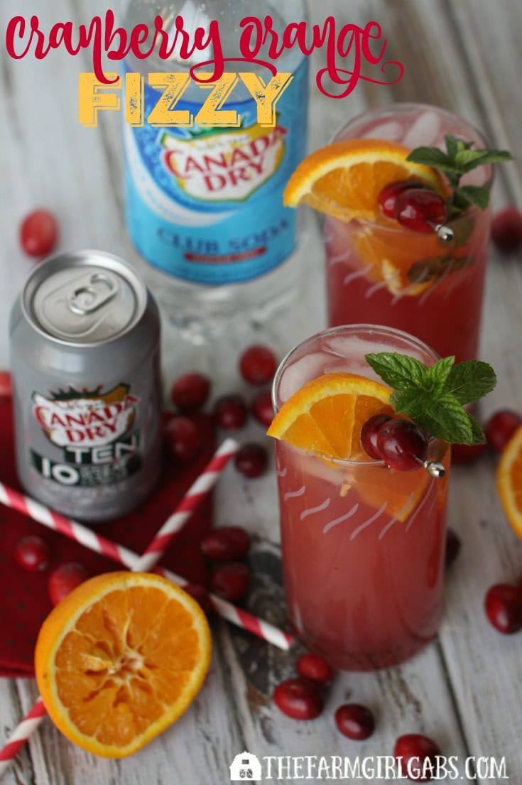 This Cranberry Orange Fizzy is the perfect non-alcoholic drink for young and old to enjoy during the Christmas season. [Ad] #BrighTENtheSeason @Target