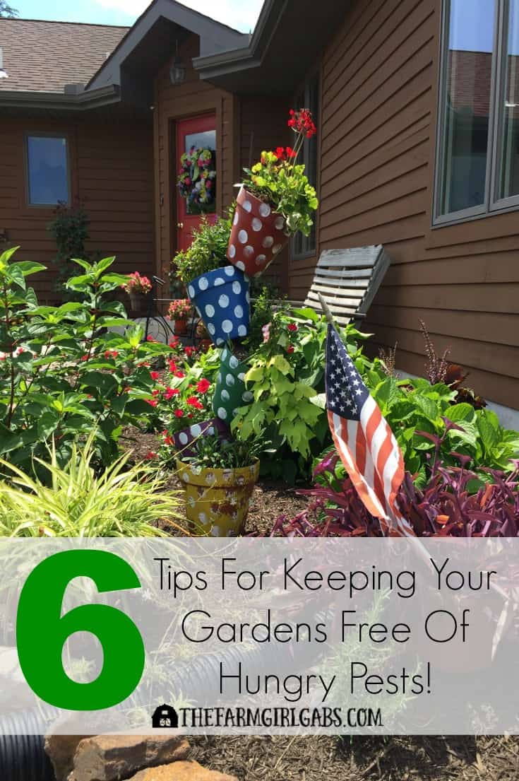 Spending a lot of time in your garden lately? Follow these Six Tips For Keeping Your Gardens Free Of Hungry Pests. #ad