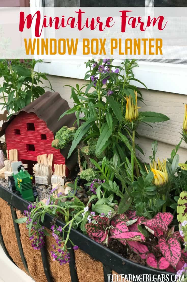 Brighten up your gardening landscape with this DIY Miniature Farm Window Box Planter idea. {Ad} #ForWhatMattersMost