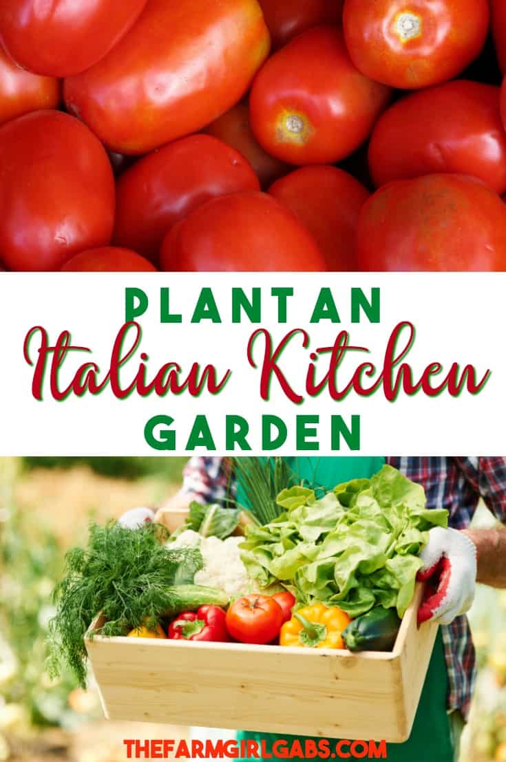 From spaghetti sauce to your favorite pizza toppings, an Italian Kitchen Garden has all the produce and herbs to create an Italian feast! #garden #vegetables #vegetablegardening #gardeningtips #gardening