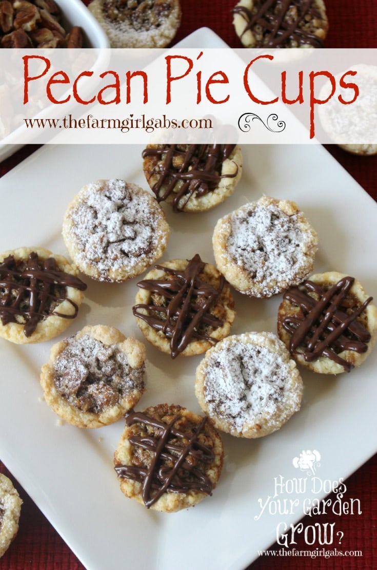 Pecan Pie Cups are a miniature cookie version of the sweet and nutty Pecan Pie. A flaky cream cheese crust surrounds a delectable pecan filling. This cookie recipe is perfect for Christmas or any gathering.