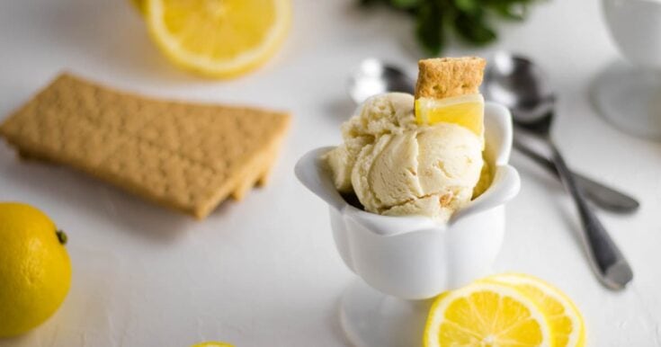 Image for Easy Homemade Lemon Ice Cream