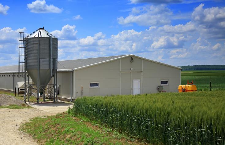 Steel farm building with clear-span interior engineered for Canadian snow loads
