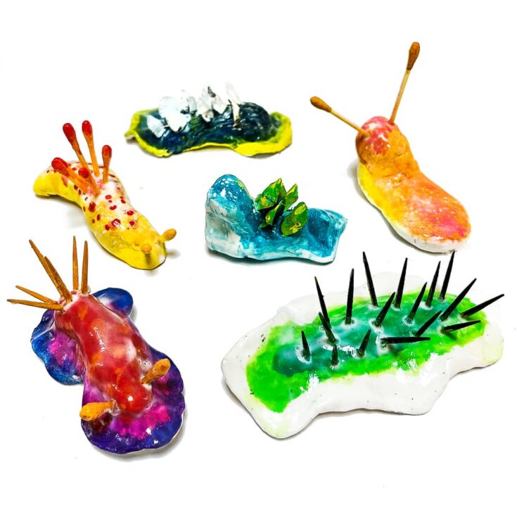 Image for Air Dry Clay Sea Slugs – A Colorful Art Project for Kids