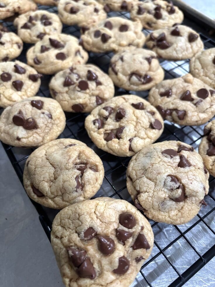 Make the best brown butter chocolate chip cookies! Soft, chewy, & full of nutty flavor &mdash; no chill time needed for these bakery-style cookies.