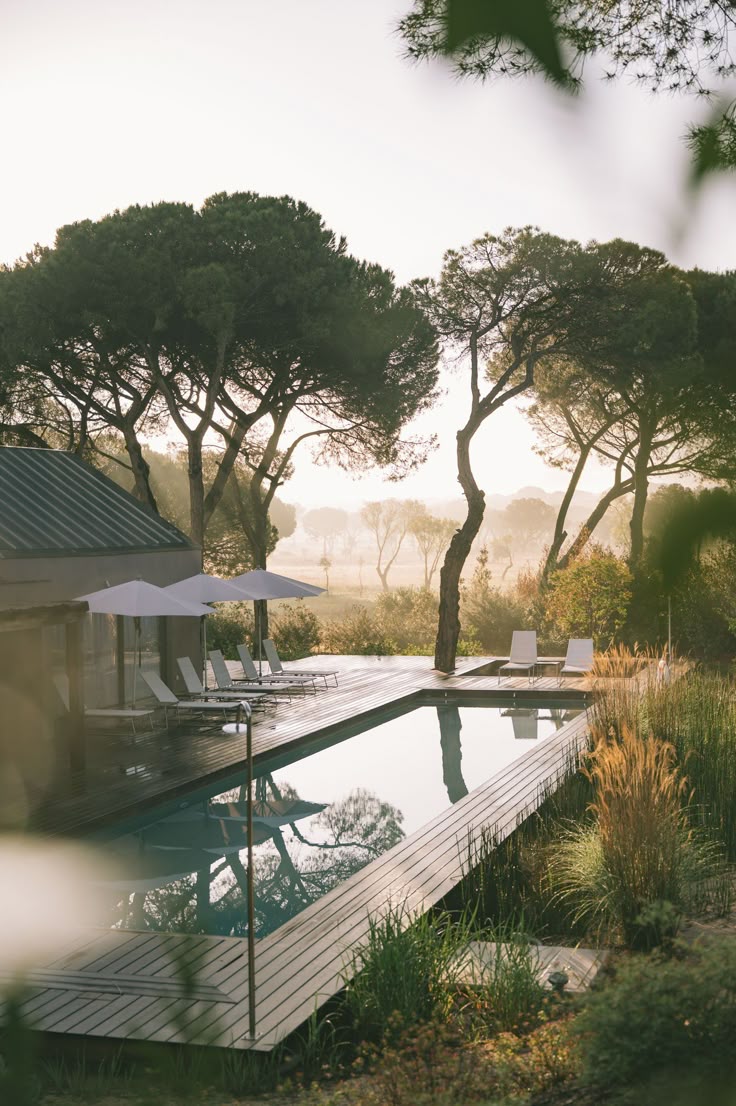 Outdoor pool deck with lounge chairs and white umbrellas, surrounded by tall trees at dawn/misty light.