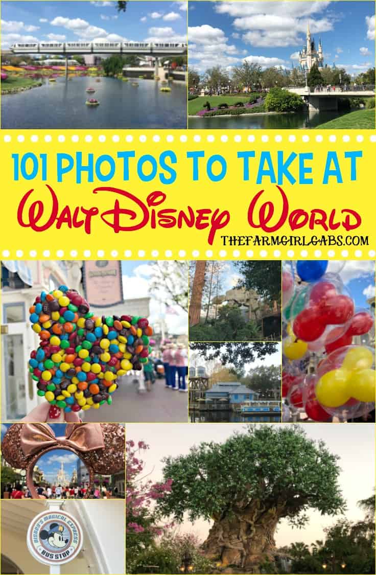 Ready for the ultimate Disney Photo Bucket List? I gathered some Disney photograph inspiration with these 101 Photos To Take At Walt Disney World. #WaltDisneyWorld #Disneyland #Disney #FaimilyTravel #Disneytravel #Disneyvacation #travelideas