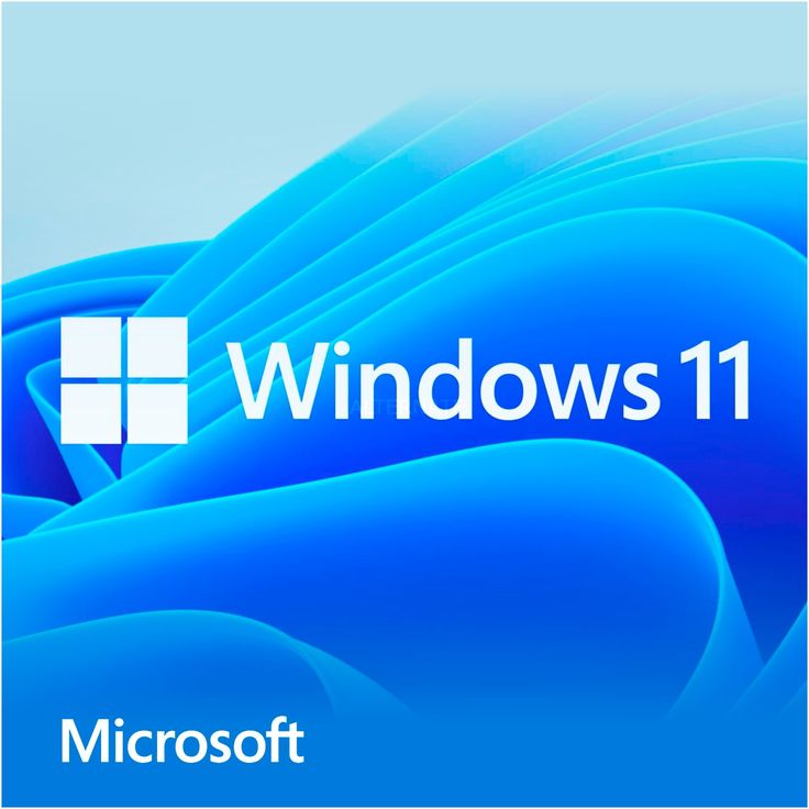 Windows 11