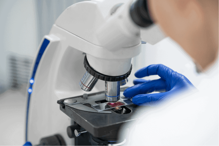 Análisis de una muestra de piel al microscopio