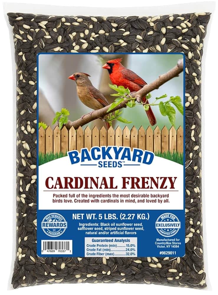 What Seeds are in Wild Bird Seed Mix
