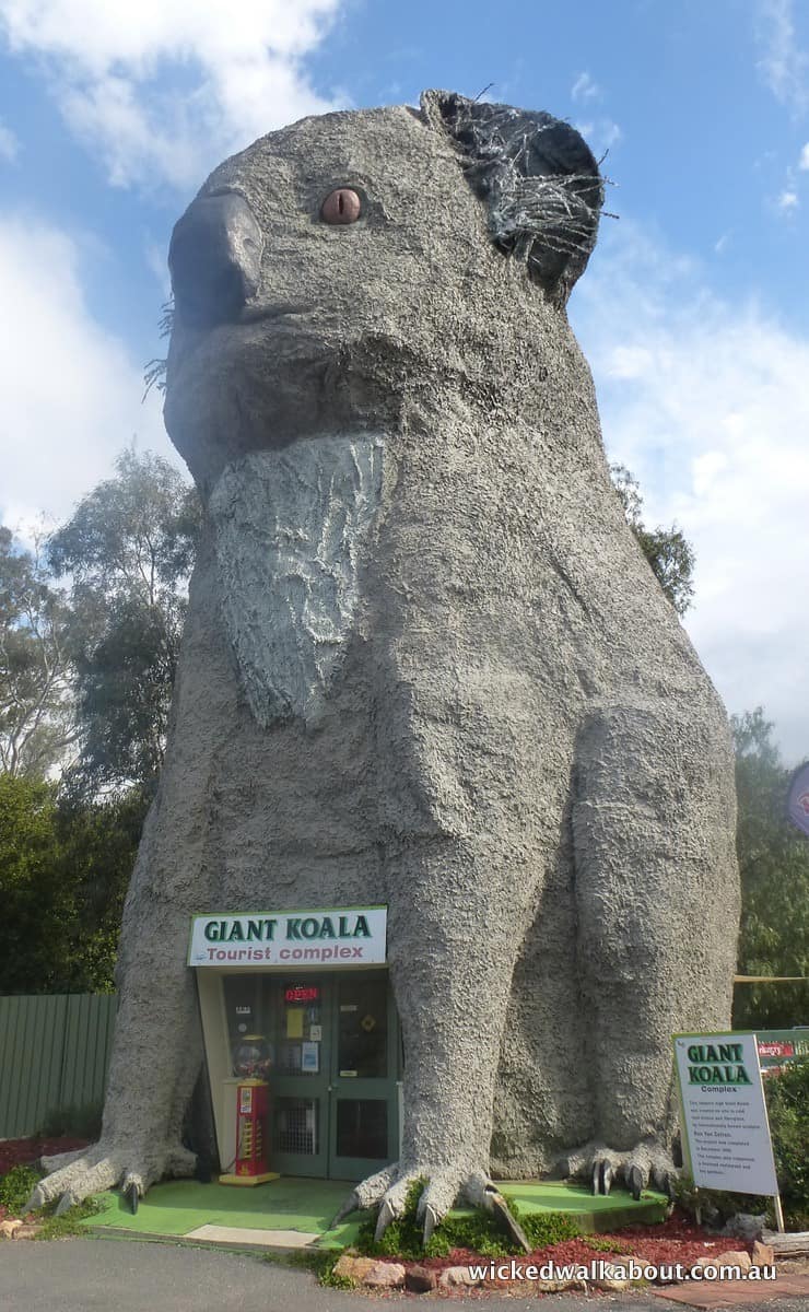 Giant Koala Dadswell Bridge, South Australia
