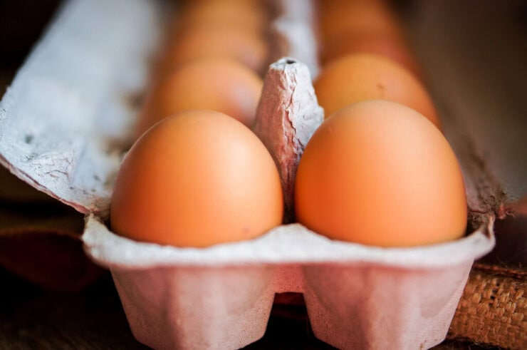 The US Egg Market: A row of egg cartons on a grocery store shelf with price tags showing stabilized prices following the U.S. bird flu outbreak.