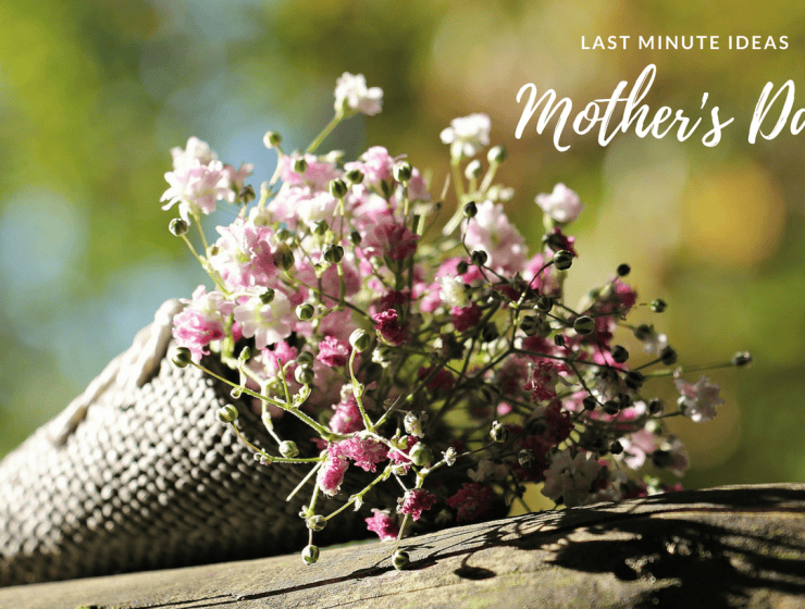 6 Last Minute Mother’s Day Gifts Your Kids Can Still Get You_1 last minute Mother’s Day gifts 6 Last Minute Mother’s Day Gifts Your Kids Can Still Get You 6 Last Minute Mother   s Day Gifts Your Kids Can Still Get You feat 740x560