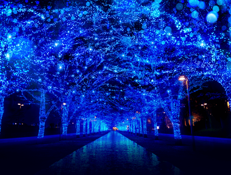 Warm-Yourself-Up-With-These-Christmas-Lights-Around-The-World-9-740x560 Warm-Yourself-Up-With-These-Christmas-Lights-Around-The-World-9-740x560 Warm Yourself Up With These Christmas Lights Around The World christmas lights Warm Yourself Up With These Christmas Lights Around The World Warm Yourself Up With These Christmas Lights Around The World 9 740x560