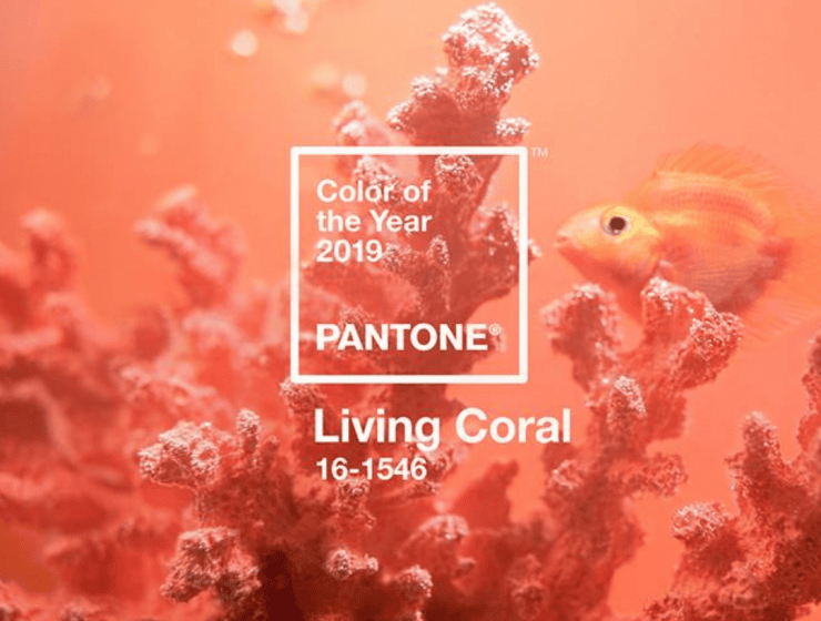 Introducing-Pantone-Color-Of-The-Year-2019-Into-Your-Home-Decor_feat-740x560 Introducing-Pantone-Color-Of-The-Year-2019-Into-Your-Home-Decor_feat-740x560 Introducing Pantone Color Of The Year 2019 Into Your Home Decor!_7 pantone color of the year 2019 Introducing Pantone Color Of The Year 2019 Into Your Home Decor! Introducing Pantone Color Of The Year 2019 Into Your Home Decor feat 740x560