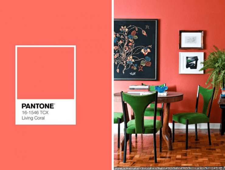 The-Best-Coral-Home-Decor-Ideas-You-Never-Knew-You-Needed_feat-740x560 The-Best-Coral-Home-Decor-Ideas-You-Never-Knew-You-Needed_feat-740x560 The Best Coral Home Decor Ideas You Never Knew You Needed_feat coral home decor The Best Coral Home Decor Ideas You Never Knew You Needed The Best Coral Home Decor Ideas You Never Knew You Needed feat 740x560
