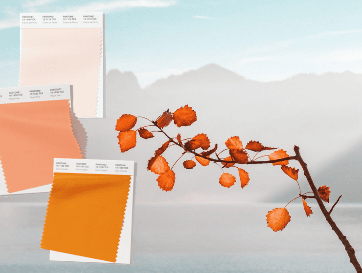 These Fall Color Trends Will Bring Warmth Into Your Home This Season fall color trends These Fall Color Trends Will Bring Warmth Into Your Home This Season Design sem nome 58 740x560