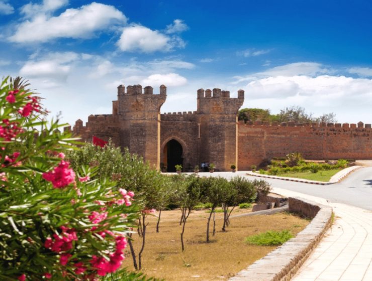 5-Top-Interior-Designers-In-Rabat-You-Should-Know-capa-740x560 5-Top-Interior-Designers-In-Rabat-You-Should-Know-capa-740x560 5 Top Interior Designers In Rabat You Should Know top interior designers in rabat 5 Top Interior Designers In Rabat You Should Know 5 Top Interior Designers In Rabat You Should Know capa 740x560