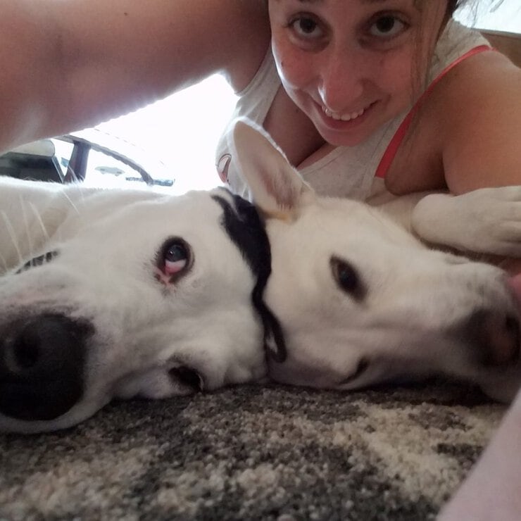 Philadelphia dog sitting