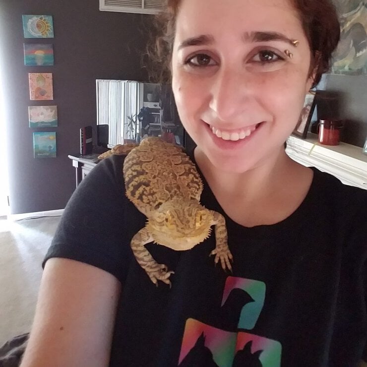 Reptile care