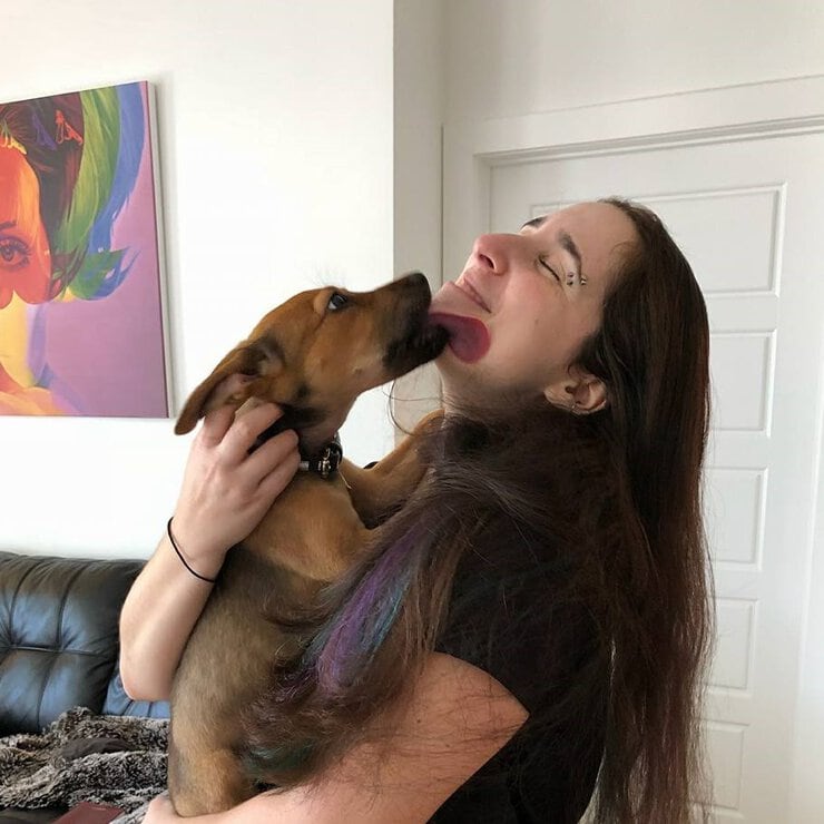 Puppy sitter