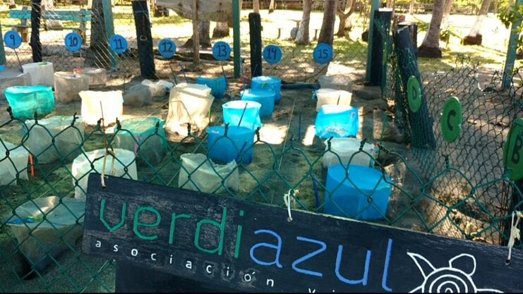 A Costa Rican sea turtle hatchery