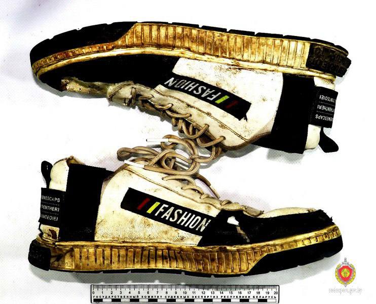 В Буда-Кошелевском районе вора-меломана нашли по следу обуви