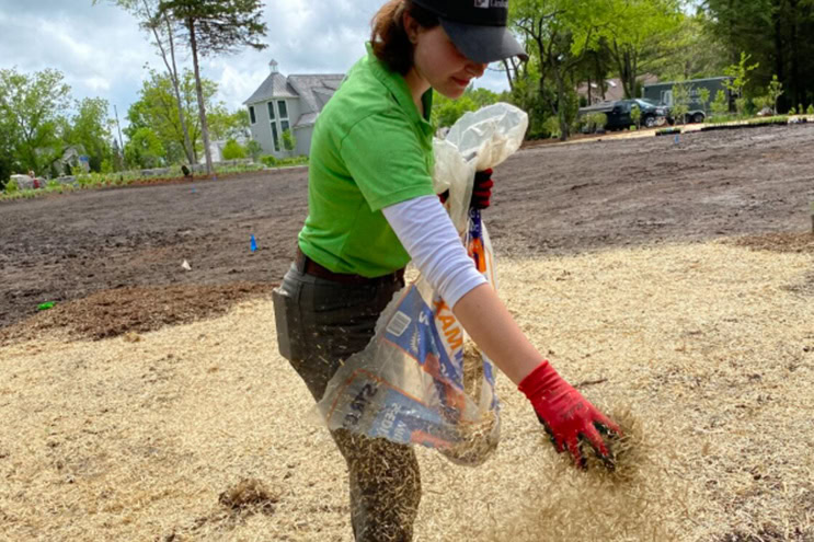 woman spreading grass seeds