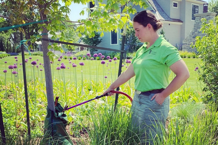 woman watering tree