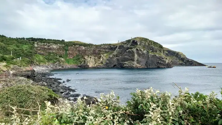 濟州牛島