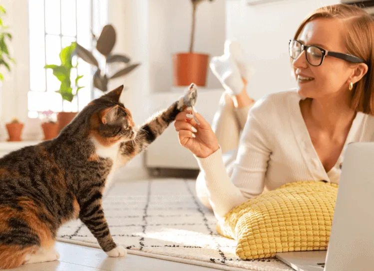 Über mich-Seite, die Eindruck hinterlässt