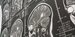 Brain MRI