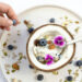 Go Nuts: The Sixty-Minute Dairy-Free Yoghurt Recipe Hack for Busy Vegans