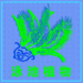 Dungeon curation #15 : Pool Plants