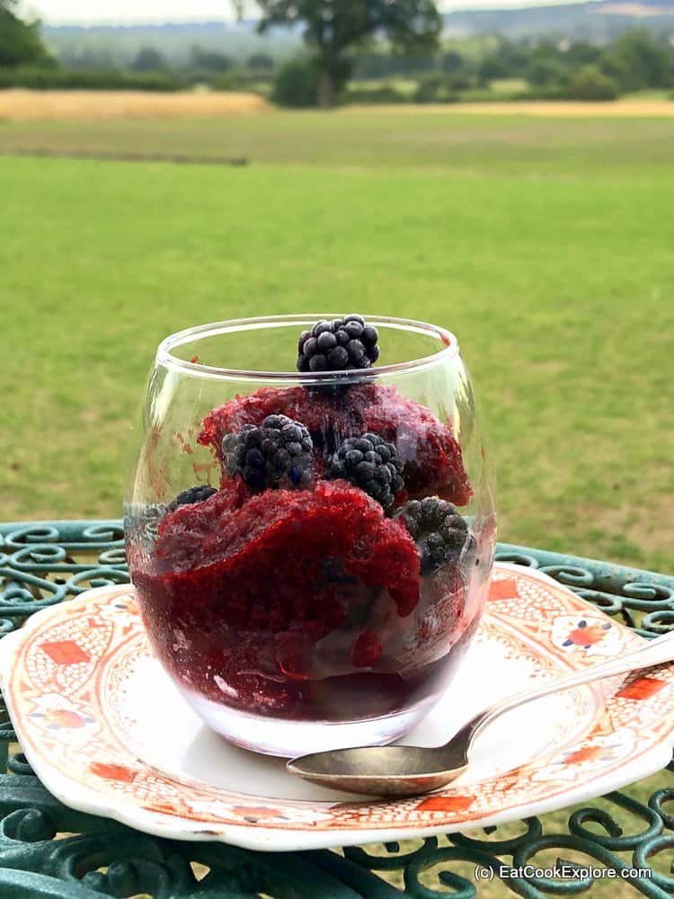 Easy Diary free Blackberry sorbet