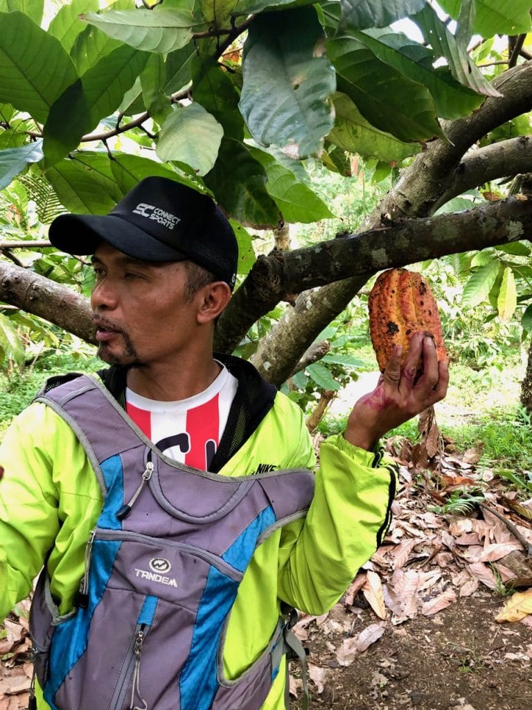 Specerijentour Java- cacao