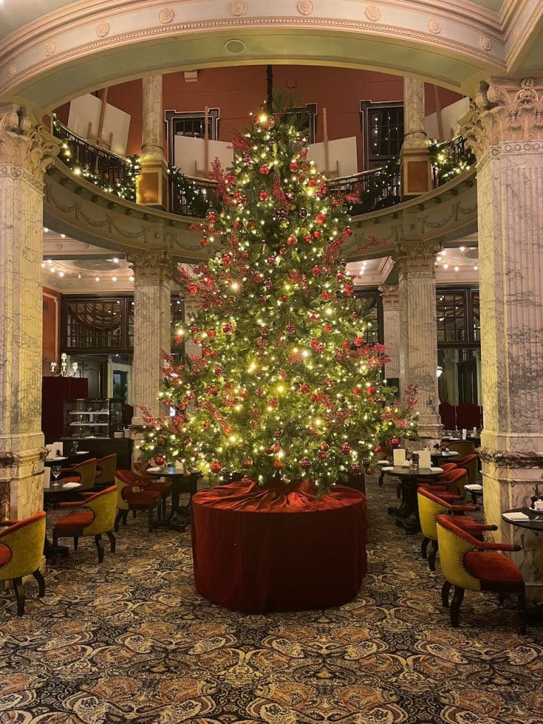 Kerstboom in Des Indes