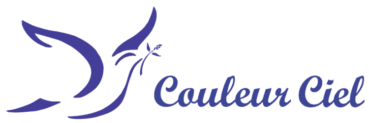 Logo Aurelien couleur ciel