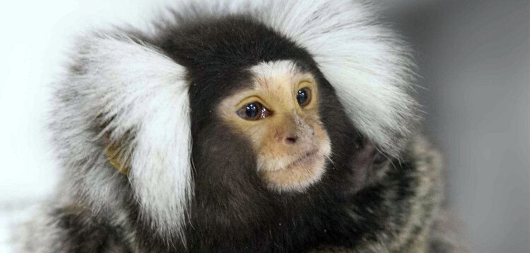 Photo credit: Yunyan Wang