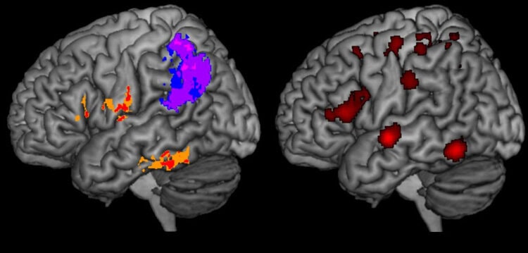 Photo credit: Johns Hopkins University