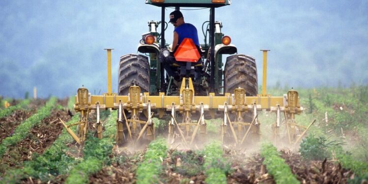 Pesticides, mégabassines, ces crispations de la loi d'urgence agricole