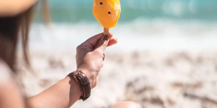La canicule se prolonge dans le sud est de la France en vigilance orange