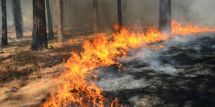 Nouvel incendie ce mercredi après midi près d'Arreau