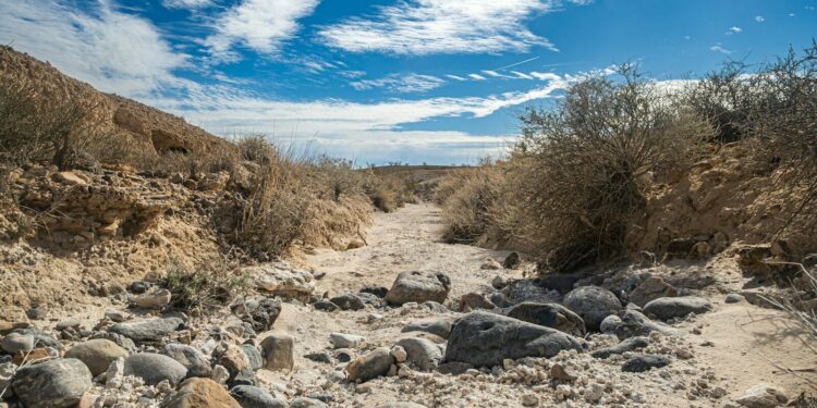 Canicule, la fédération de pêche alerte sur le débit des petites rivières des Hautes Pyrénées
