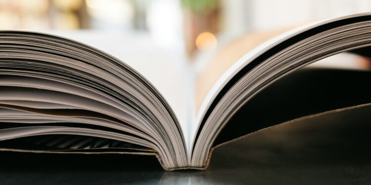 De nombreux livres politiques annoncés pour cette rentrée littéraire