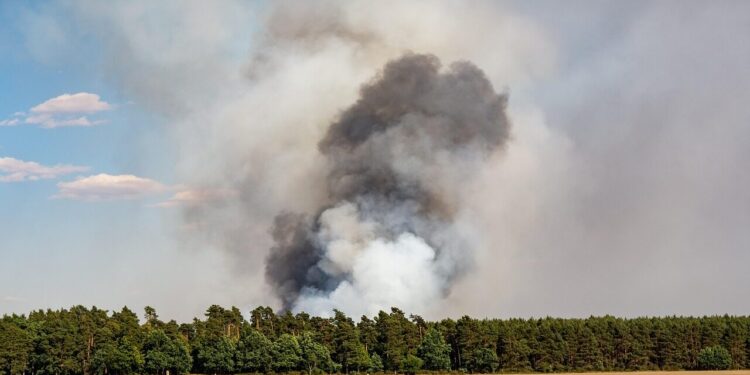 270 pompiers mobilisés sur un nouvel incendie en Occitanie