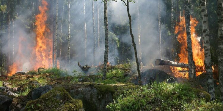 Alerte incendies de forêts, le 65 en alerte jaune, Gers et Haute Garonne en alerte orange