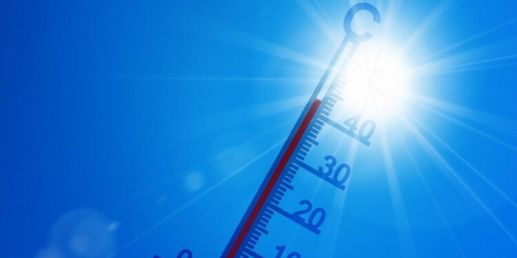 Manifestation contre la crise climatique