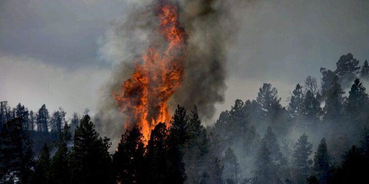 Nouvel incendie dans les Landes, odeurs de fumées possibles à Tarbes