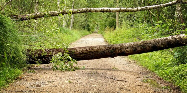 Orages Violents, consignes de sécurité à Tarbes et dans les Hautes Pyrénées